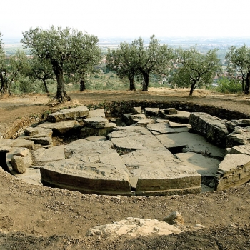 MAEC Parco | Tanella Angori