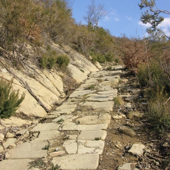 MAEC Parco | strada basolata novelle-bagnolo